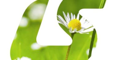 Luís Simões transporta 15 000 árvores