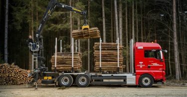 MAN camião indústria da madeira Logística e Transportes Hoje