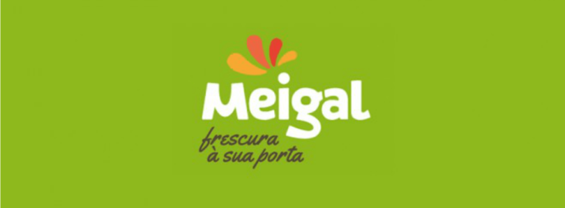 Meigal Logística e Transportes Hoje