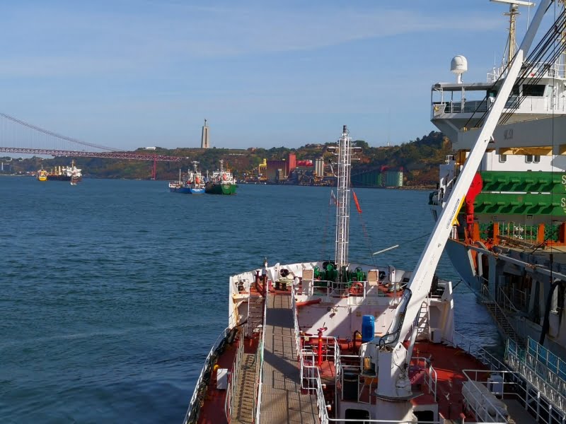 Porto de Lisboa afirma-se no mercado das bancas