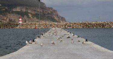 O Porto de Sesimbra inaugurou uma nova Ponte-Cais, a número 4. A APSS revela é a concretização do Plano de Ordenamento do Porto de Sesimbra.