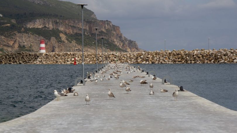O Porto de Sesimbra inaugurou uma nova Ponte-Cais, a número 4. A APSS revela é a concretização do Plano de Ordenamento do Porto de Sesimbra.