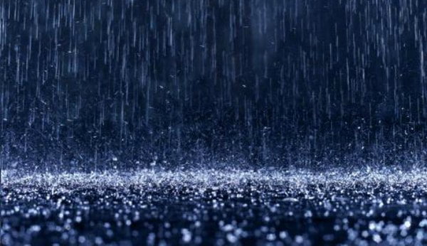 Intempéries e telecomunicações são principais causas de rutura na cadeia de abastecimento