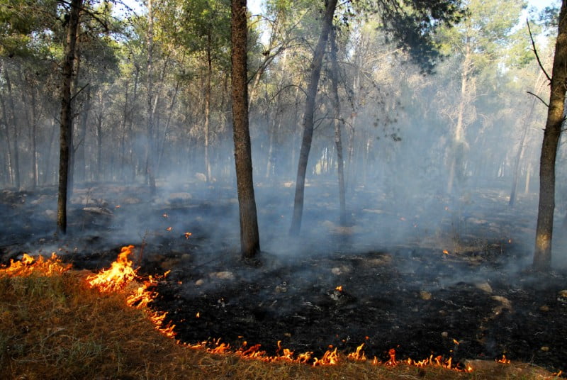 ANTRAM diz-se “solidária” com as empresas afetadas pelos incêndios