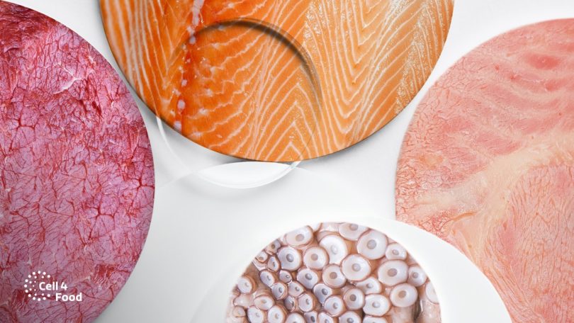 Portugal Ventures entra na start-up de agricultura celular Cell4Food