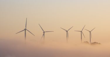 Energias renováveis: UE chega a compromisso, mas nuclear e biomassa ‘azedam’ acordo