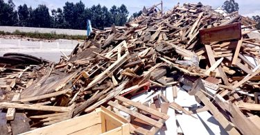 Centro PINUS: Mais de 50% da madeira que podia ser reciclada é depositada em aterro