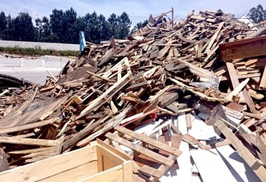 Centro PINUS: Mais de 50% da madeira que podia ser reciclada é depositada em aterro