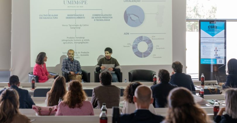 Da alimentação aos fertilizantes, as mil e uma utilizações (sustentáveis) das algas