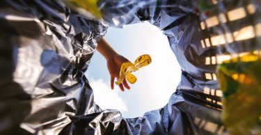 UE quer reduzir desperdício alimentar e têxtil. Como?