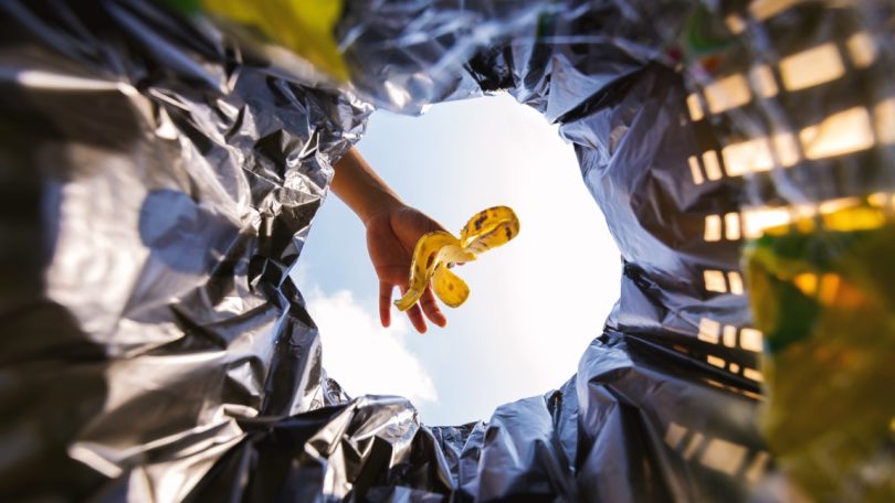 UE quer reduzir desperdício alimentar e têxtil. Como?