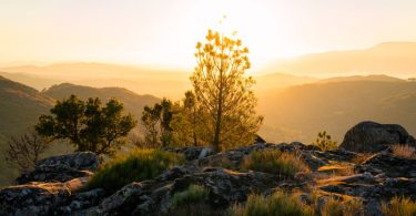 Parlamento Europeu aprova Lei da restauração da natureza com ressalvas