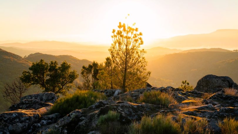 Parlamento Europeu aprova Lei da restauração da natureza com ressalvas