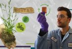 Investigadores criam bioplástico reciclável com bactéria E. coli
