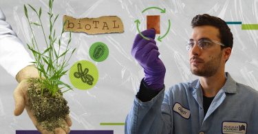 Investigadores criam bioplástico reciclável com bactéria E. coli