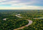 Amazónia: Não há objetivo comum para terminar a desflorestação, mas há para medidas