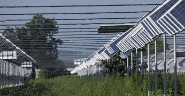Estudo: Agrivoltaico em 1% da SAU poderia ultrapassar objetivos de energia solar para 2030