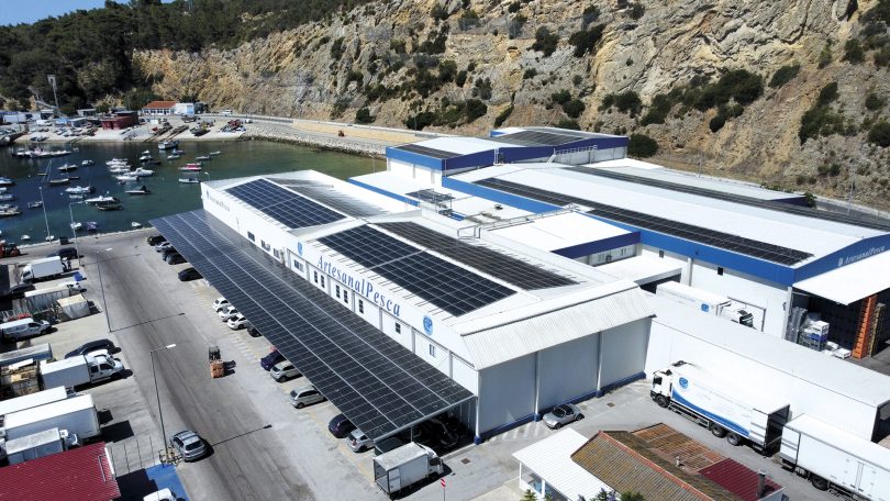 Autoconsumo solar reforça projeto de pesca sustentável na ArtesanalPesca