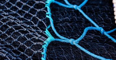 Parlamento Europeu contra proibição da pesca de arrasto em zonas marítimas protegidas 