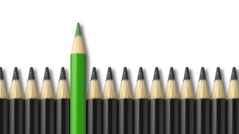 Líderes empresariais: Green Skills serão o impulsionador mais importante da transição verde  