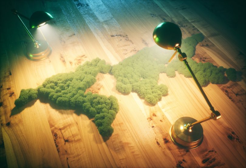 87% das empresas signatárias do act4nature Portugal têm desempenho positivo