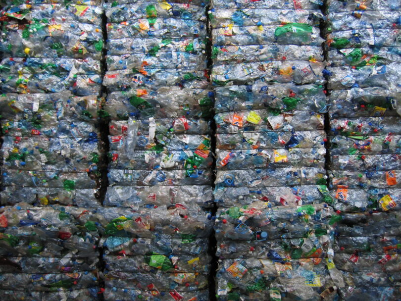 Recolha seletiva cresceu 5% em 2023, diz EGF