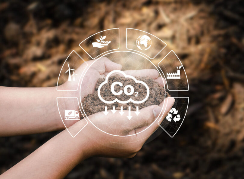 Mercado voluntário de carbono pode crescer entre 10 e 40 mil milhões de dólares até 2030