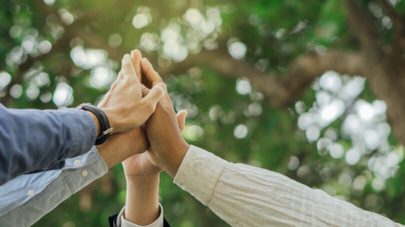Pacto Climático Europeu e ZERO desafiam eurodeputados portugueses a defenderem o ambiente