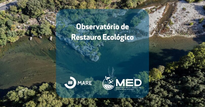 MARE e MED lançam “Observatório do Restauro da Natureza”