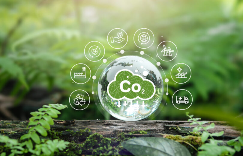 Mercado global de remoção de CO2 pode atingir os 100 mil milhões de dólares por ano