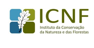 José Godinho Calado é o novo diretor do ICNF do Alentejo