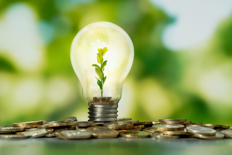AIE defende necessidade de um progresso mais rápido na eficiência energética