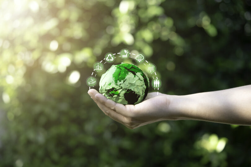 Grupo BEL define Estratégia de Sustentabilidade até 2030