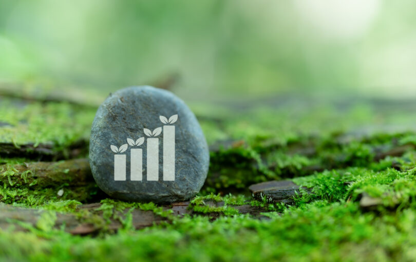 Governo dá 'luz verde' a financiamentos de 9 milhões de euros para a natureza e biodiversidade