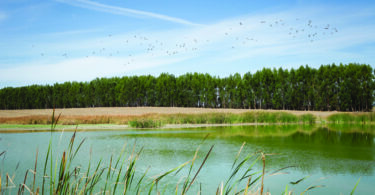 Navigator recebe distinção mundial por boas práticas de ESG