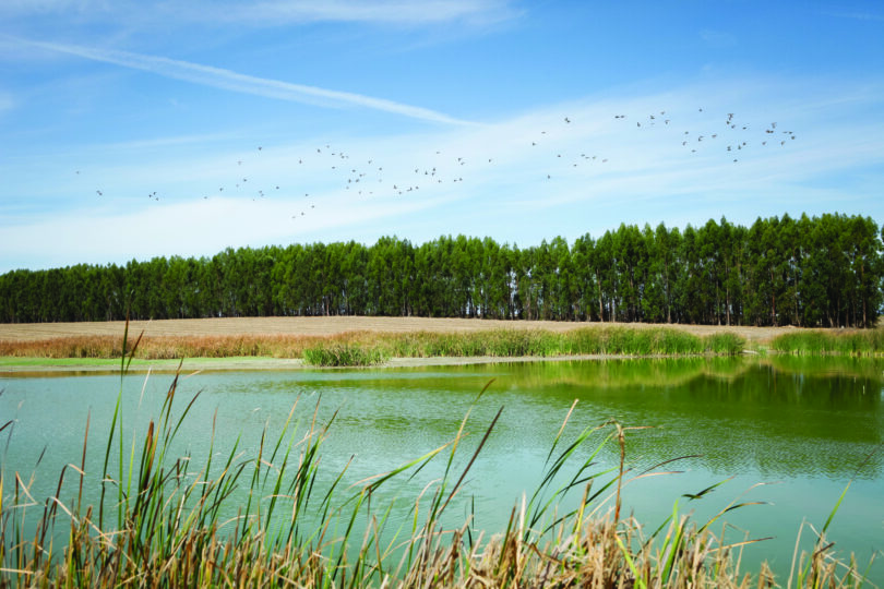 Navigator recebe distinção mundial por boas práticas de ESG