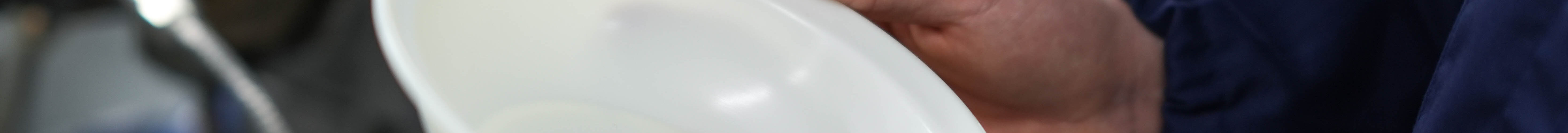 Portugal está a desenvolver produtos a partir do amido nativo do milho