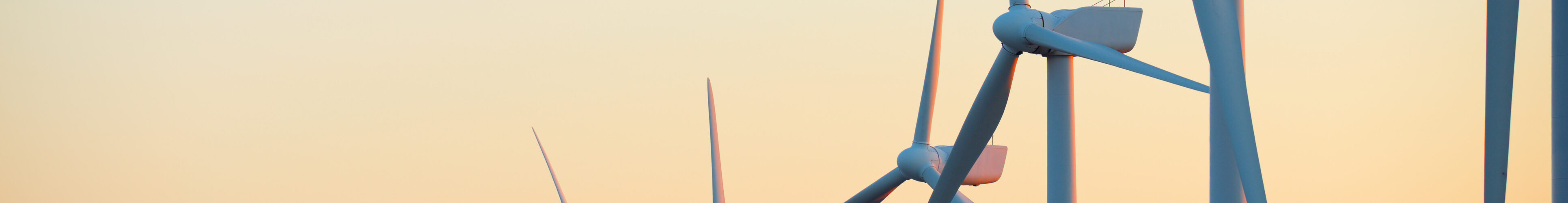 Portugal mantém-se entre os países europeus com maior incorporação de renováveis na eletricidade