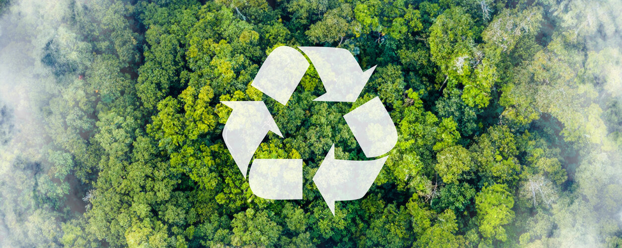 Reciclagem cresce 4% em Portugal no início de 2025, mas vidro continua a preocupar