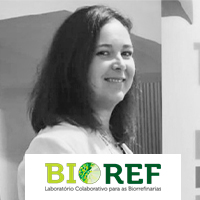 Insustentável Congresso