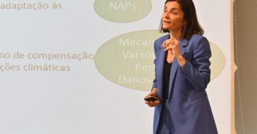 Como podem as empresas lidar com o 'tsunami' legislativo? (vídeo)