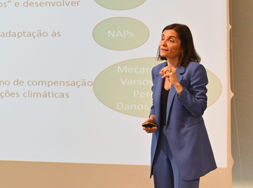 Como podem as empresas lidar com o 'tsunami' legislativo? (vídeo)