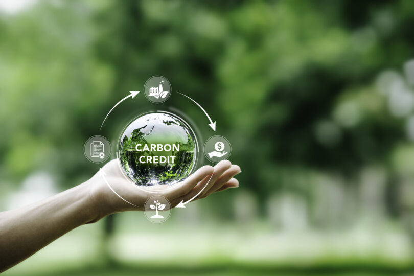 Procura por créditos de carbono continua estagnada, mas novas soluções de remoção abrem caminho à retoma
