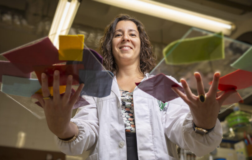 Projeto português quer transformar a história em motor de sustentabilidade para o setor têxtil