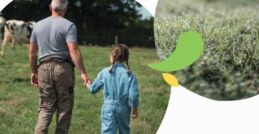 Bel Portugal quer ser a “empresa mais sustentável do país”