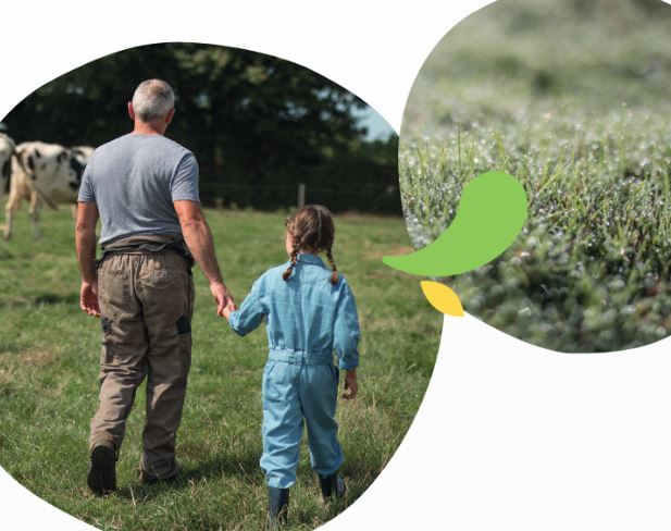 Bel Portugal quer ser a “empresa mais sustentável do país”