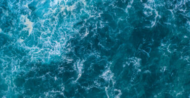 Cascais, Mafra e Sintra mais perto de ter uma área marinha protegida