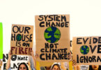 Estudo revelou que políticos subestimam apoio público à ação climática