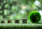 Agência para o Clima pagou 9,7 milhões de euros na primeira quinzena de setembro