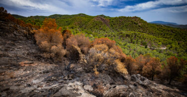 Alterações climáticas aumentam em 40 vezes probabilidade de incêndios na Península Ibérica